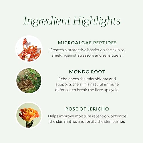 Miniatura 7 de Tata Harper Superkind Hidratante fortificante, hidratante ligero para pieles sensibles, soporte de barrera cutánea, calmante para el enrojecimiento,