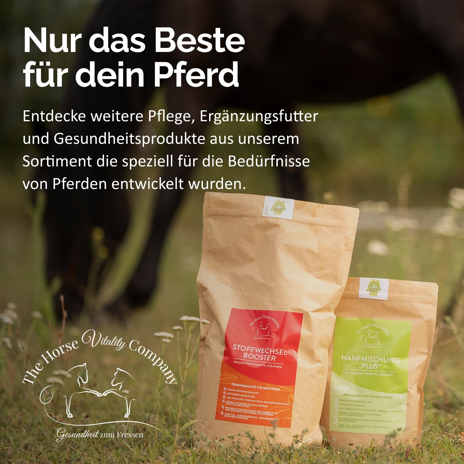 The Horse Vitality Company Magenfein 1 kg Pulver | Ergänzungsfuttermittel für Pferde mit Kräutern & Vitalstoffen | Verdauuung, Koliken, Kotwasser | 100% natürlich | Made in Germany