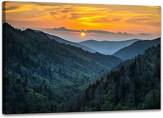 SKASNFAI Nature Landscape Canvas Wall Art Great Smoky Mountains Blue Rid...