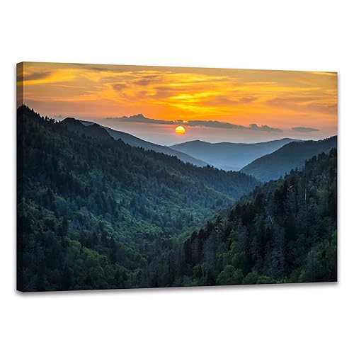 SKASNFAI Nature Landscape Canvas Wall Art Great Smoky Mountains Blue