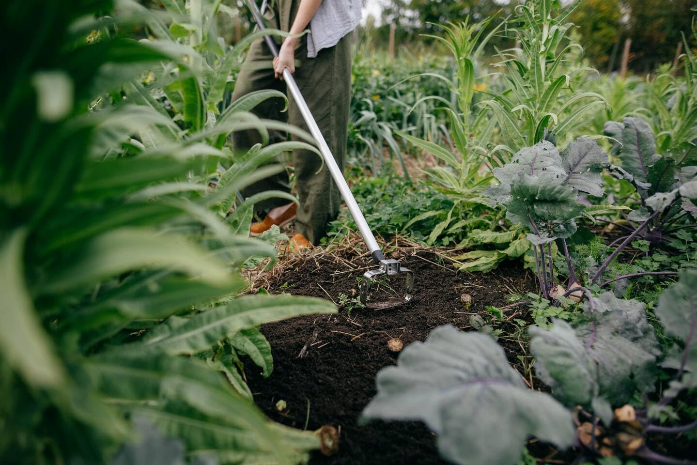 Fiskars Xact Push-Pull Weeder 135 mm, Length: 167.5 cm, Width: 13.5 cm, Black/Orange, Stainless Steel/Plastic, 1027042