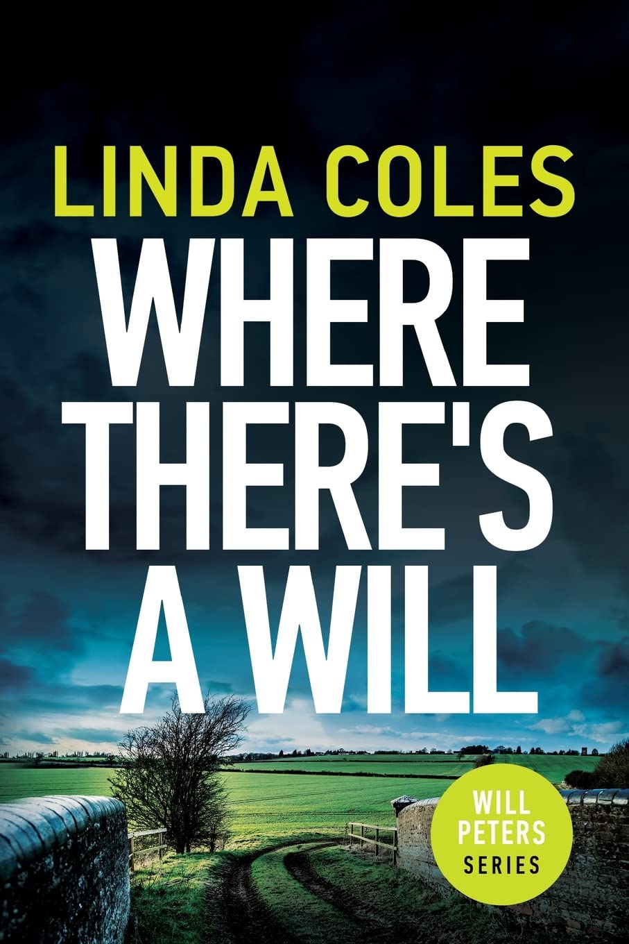 Where There's a Will: A Thrilling British Crime Novel: 1 (Will Peters)