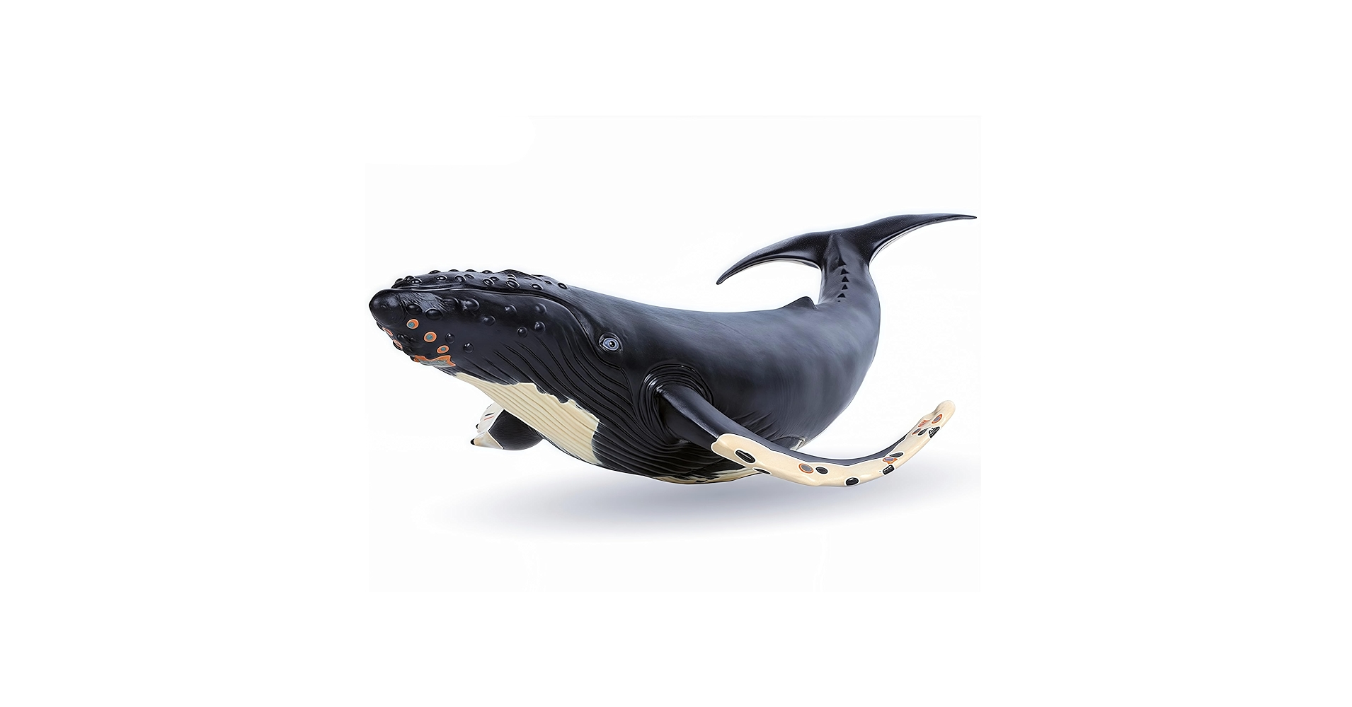 フェニックス　DIGENITE THERMO ORCA SHELL フェニックスDIGENITE THERMO ORCA SHELL