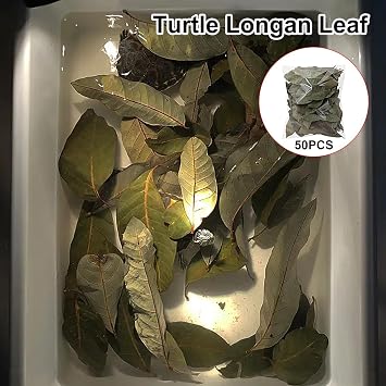Leaf Litter Reptile Substrate Terrarium Bedding, Pack of 50 Dried Leaves for Terrarium & Aquarium (3.9