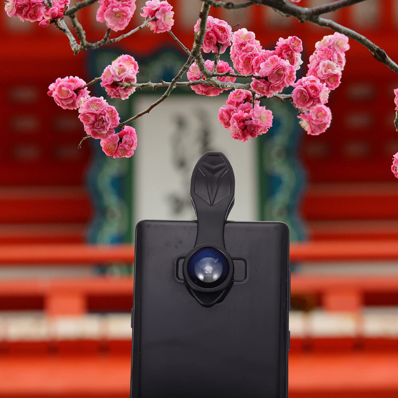 WOONEKY Obiettivo Macro Grandangolare Per Telefono Cellulare Kit Lenti Vetro e Lega Di Alluminio Clip Inclusa Per Scatti Dettagliati e Ampio Campo Di Vista