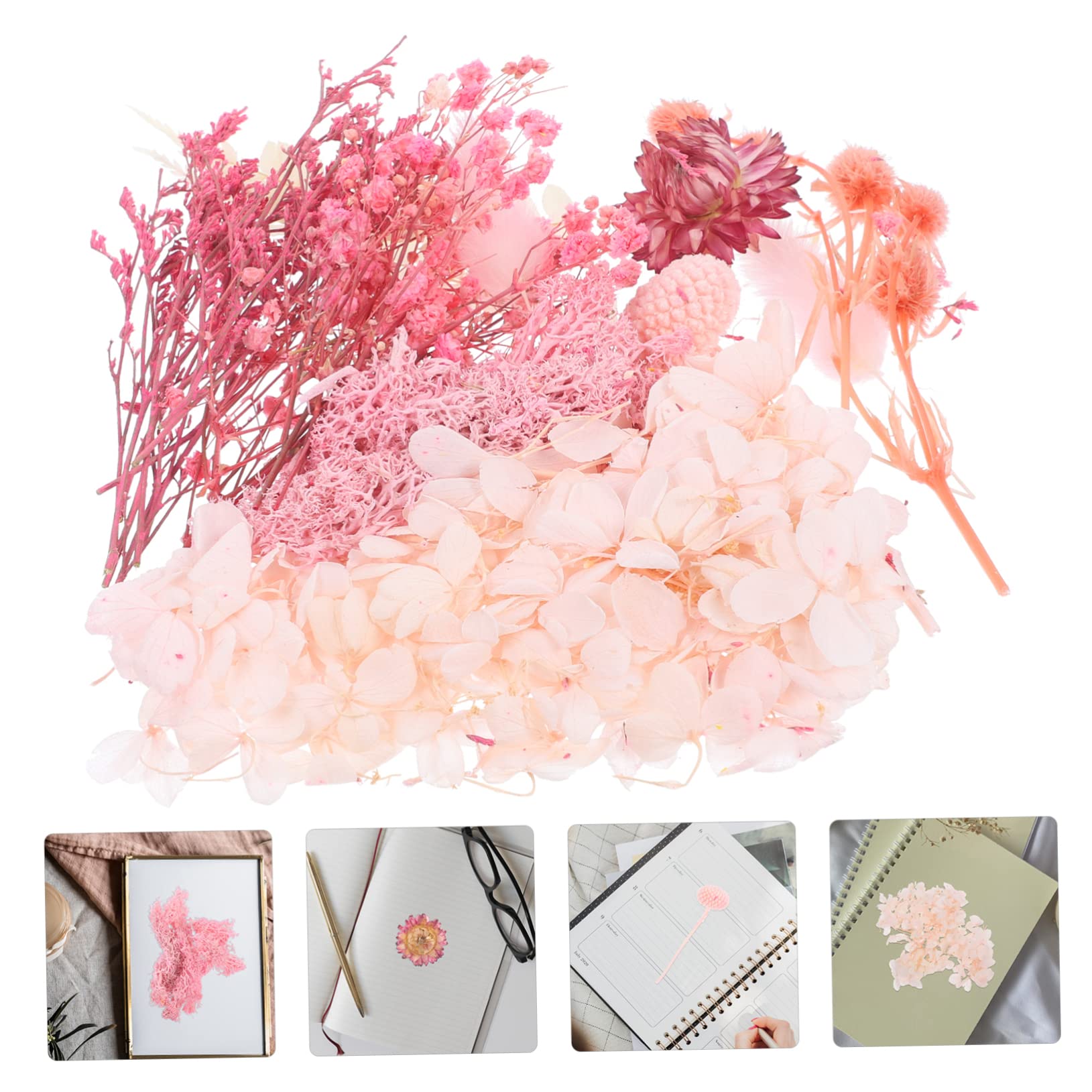 Cabilock 5 Sets Getrocknete Unsterblichkeit Getrocknete Blumen DIY Nagelkunst Dekoration Mini Trockenes Material Gepresstes Wildblumen Kerzen Dekorationen