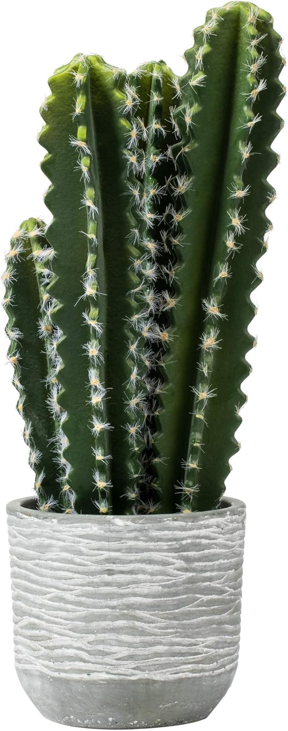 Vickerman Everyday 15.5" Green Cactus Plant - Faux Indoor Potted Plant - Greenery for Home Or Office Decor - Maintenance Free