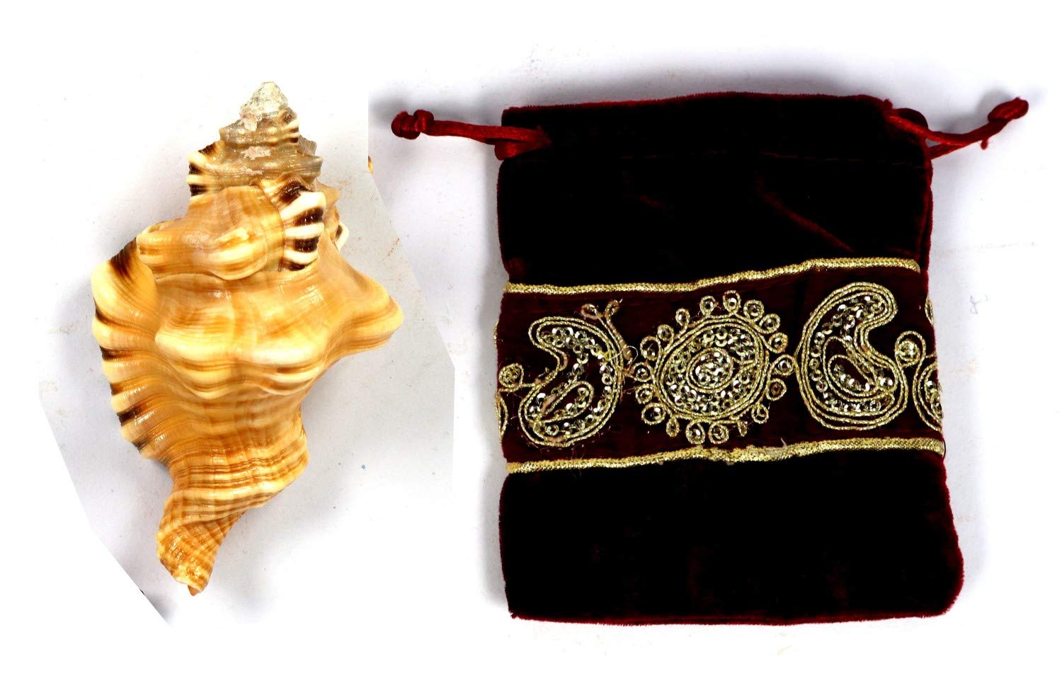 ASHIRWAD Ganesh Shankh Coque de conque pour rituel Puja, Ganesha Mukhi Varti, Ganpati, Bhakti, Aarti Shankha (7,6 cm dans une pochette)