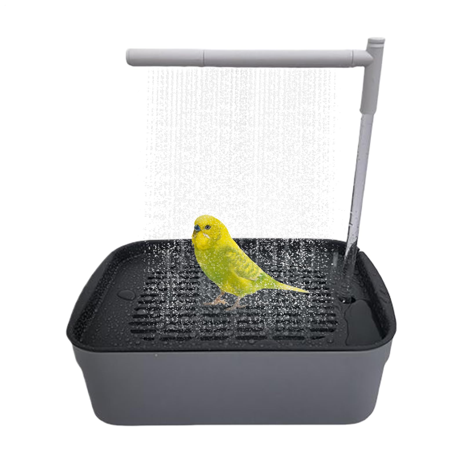 Parrot Shower | Pet Bird Bath Automatic Parrot Bathtub - Quiet Tub with Circulating Faucet, Rechargeable Pet Supplies Bathing Accessories for Lovebird Finch Parakeet Conure