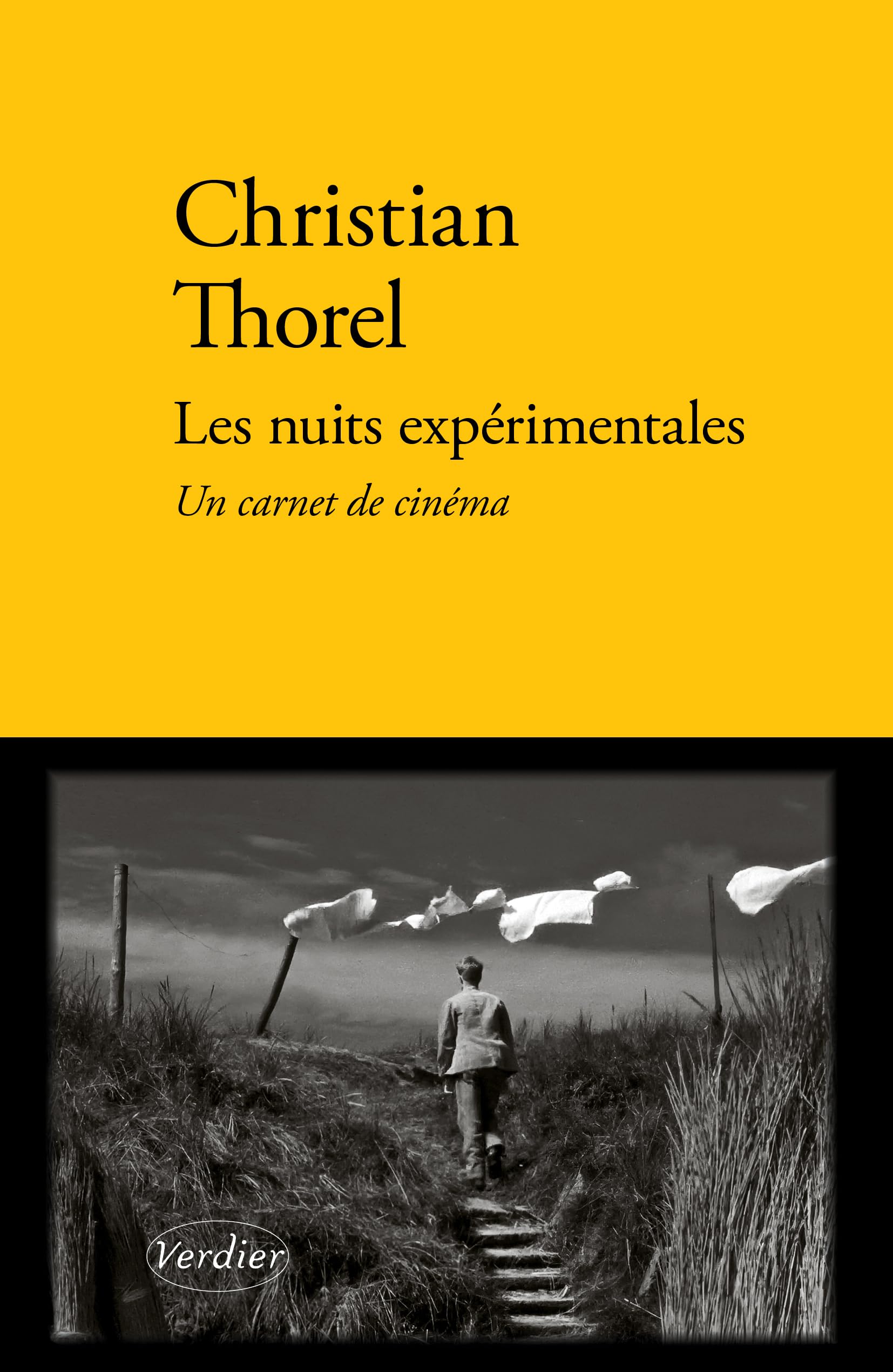 Les nuits expérimentales: Un carnet de cinéma