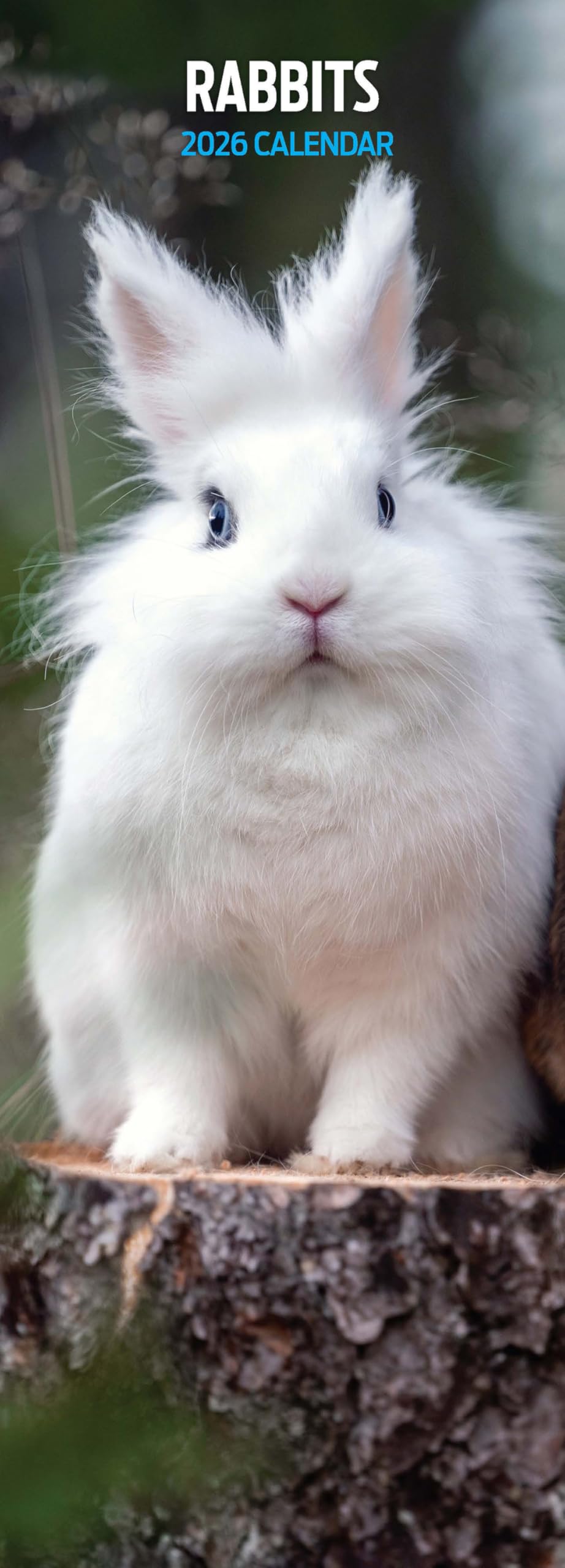 Rabbits 2026 Slim Calendar