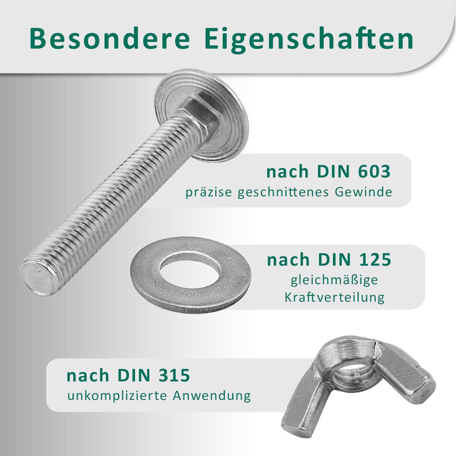 DSM – Viti a testa tonda M6 x 60 mm a norma DIN 603 – Dado ad alette M6 DIN 315 & rondella DIN 125 – Acciaio inox A2/V2A – Viti a testa tonda con attacco quadrato – Dado a farfalla – 2 pezzi