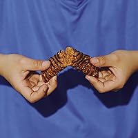 Vista 11 de Clif Kid ZBar Zbar - Barras de chocolate con chispas de chocolate - Barritas energéticas horneadas suaves - Sin OMG - 0.42 oz de granos enteros