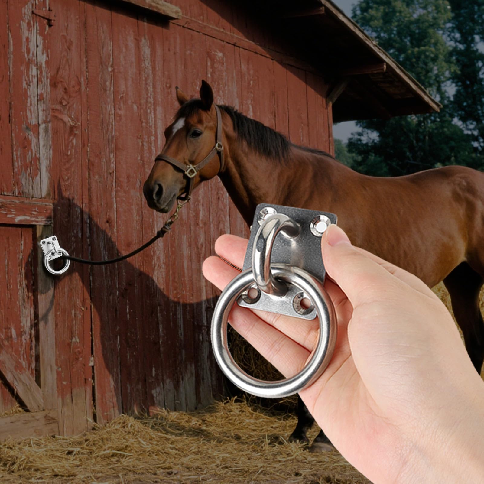 1 Pièce Anneau D’Attache Cheval En Acier Inoxydable Avec Plaque Carrée 40×50 mm Électro Poli, Anneau Fixe Ø60 mm Intérieur Ø46 mm, Vis M6, Pour Yacht, Armoire, Écurie, Anneaux Pour Chevaux