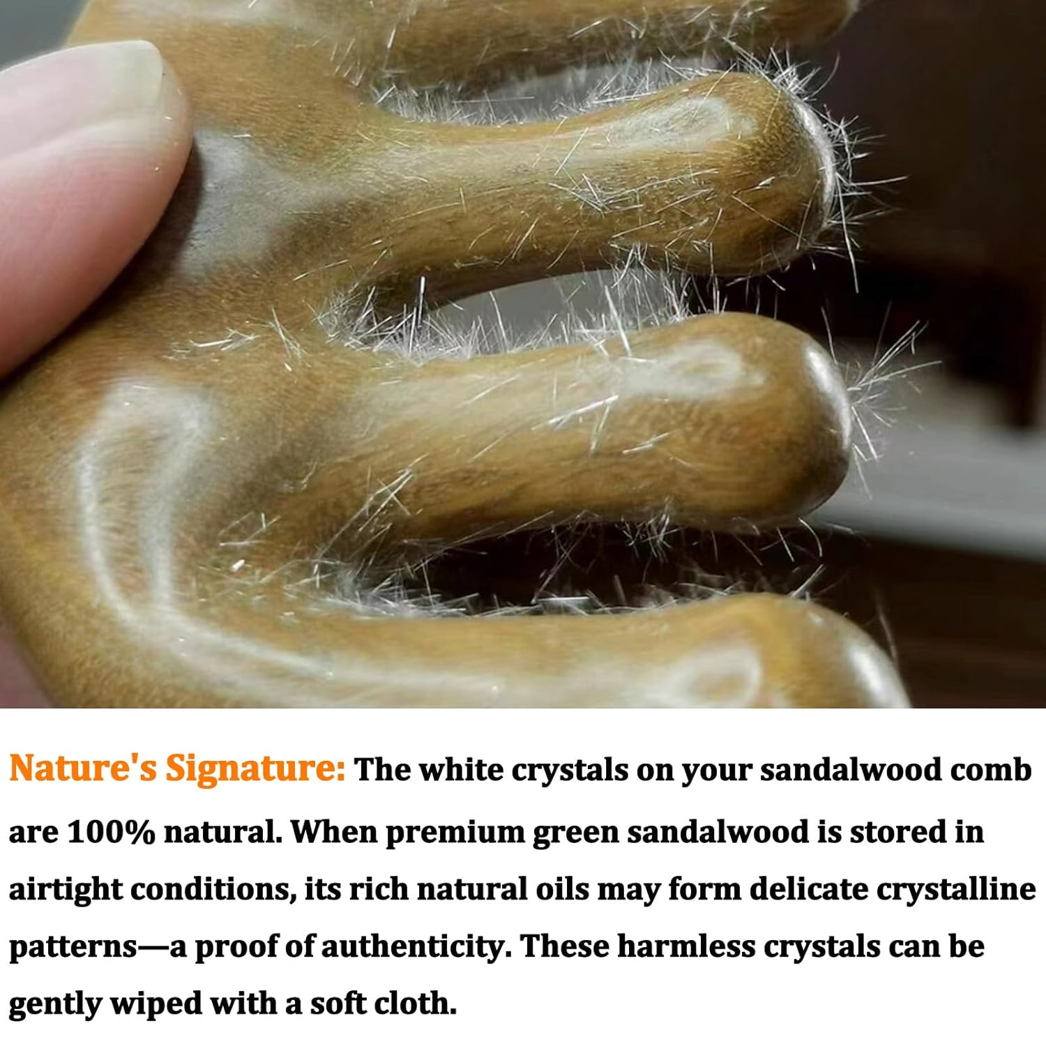 Sandalwood Hair Combs Set: Handmade Wooden Wide & Fine Tooth Comb for Women, Thick-Handle Anti-Static Detangling Comb for Curly/Straight Hair (Gift Box)