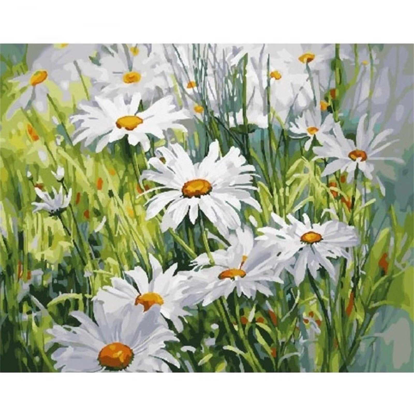 Figured'Art Dipingere con i Numeri - Paint by Numbers Campo Di Margherite In Primavera, Passatempo per Adulti, Kit Completo, Hobby Creativi - Quadri