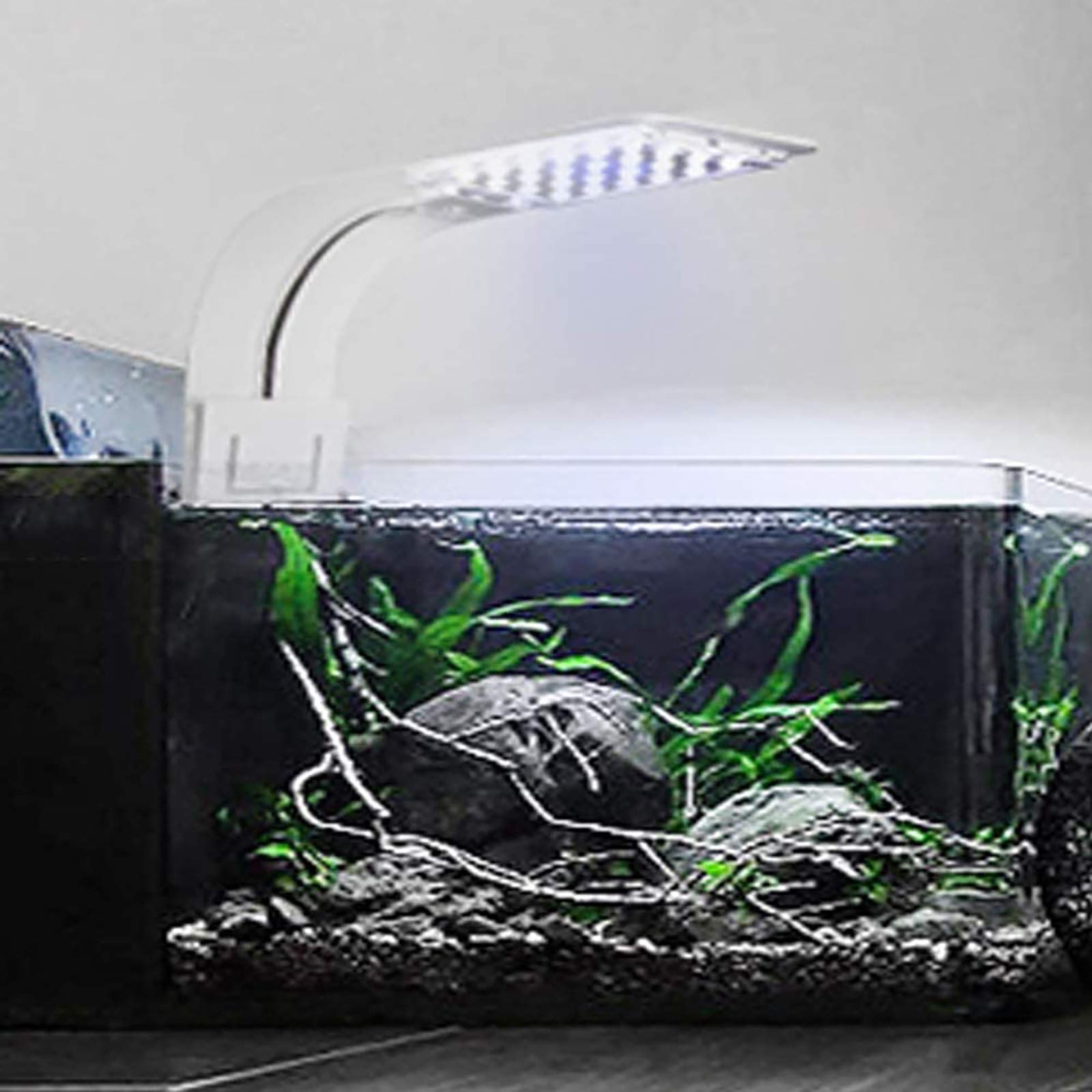 Seven Master Acuario Clip-On LED Light Clamp Fish Tank Light 