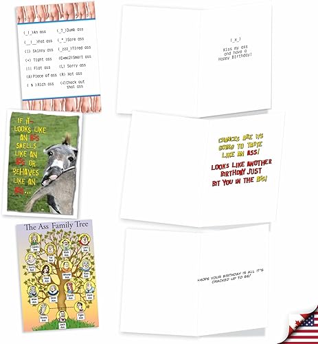 Miniatura 3 de NobleWorks - 10 divertidas tarjetas de cumpleaños en caja - Fotos de humor surtidas, dibujos animados, tarjetas de felicitación de cumpleaños a