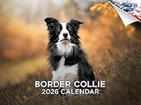 Vista 26 de Razas de Perros 2017