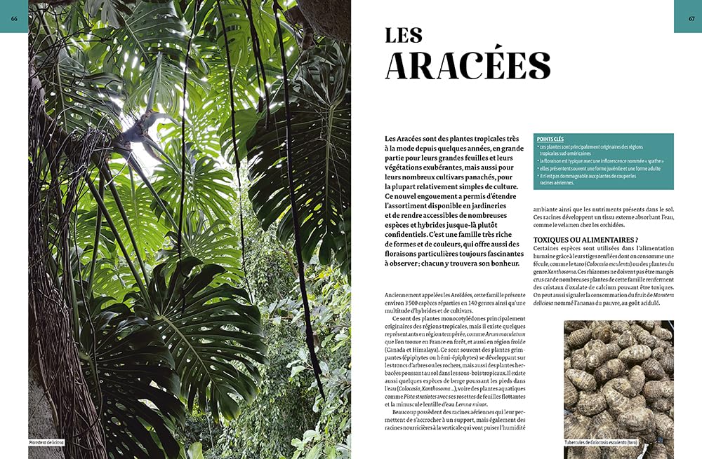 Encyclopédie des plantes d'intérieur: 500 plantes, des plus classiques aux plus insolites - Les choisir, les entretenir, les soigner - Les mutiplier et agrandir sa collection