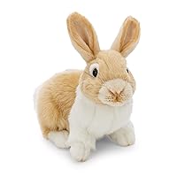 NICI 62601 Coniglietto di peluche morbido, tenero pupazzo per coccole e giochi