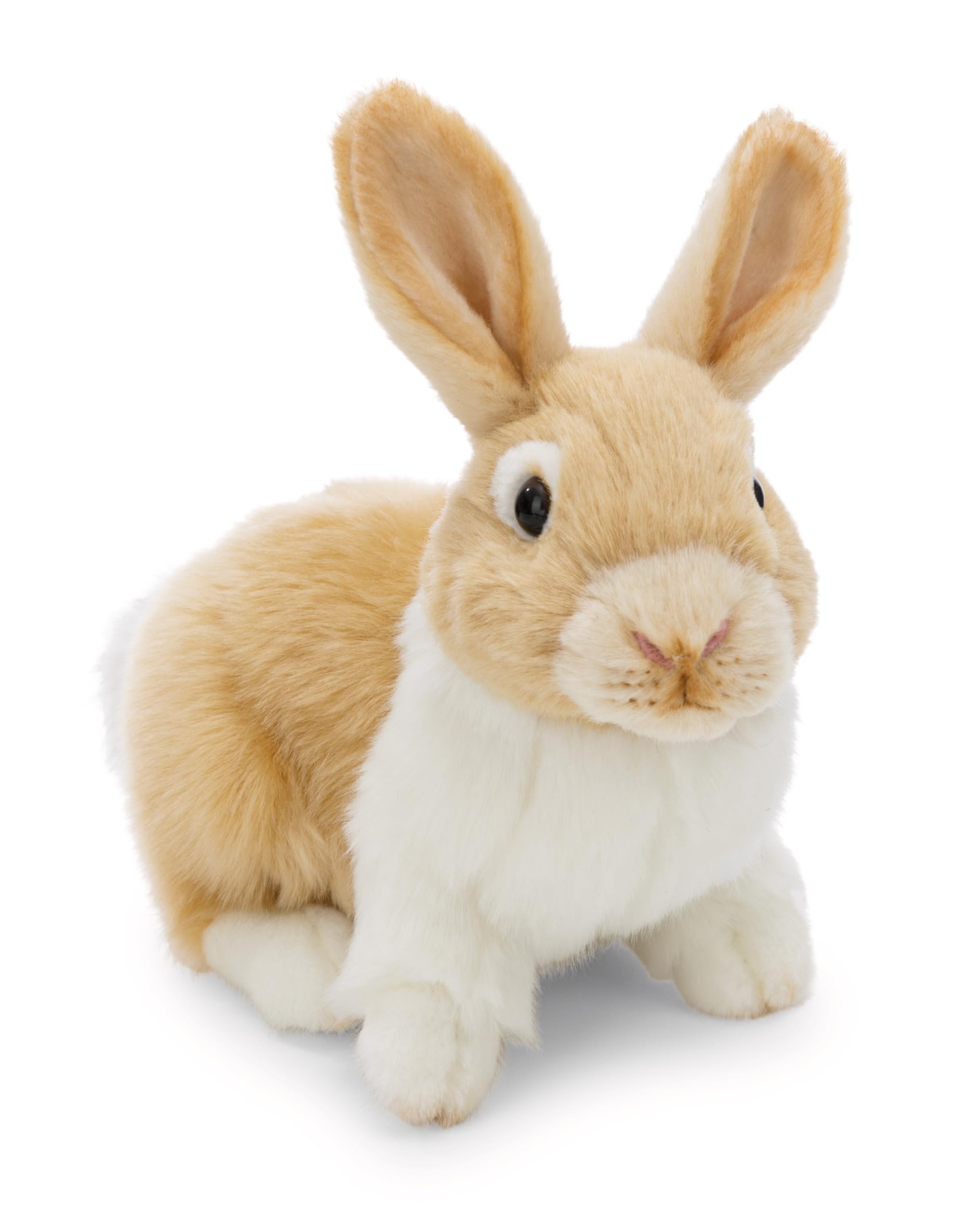 NICI 62601 Cuddly Toy, Rabbit, 20 cm, Beige, Soft Plush, Cute Stuffed Animal for Cuddling and Playing, Great Gift Idea for Children and Adults