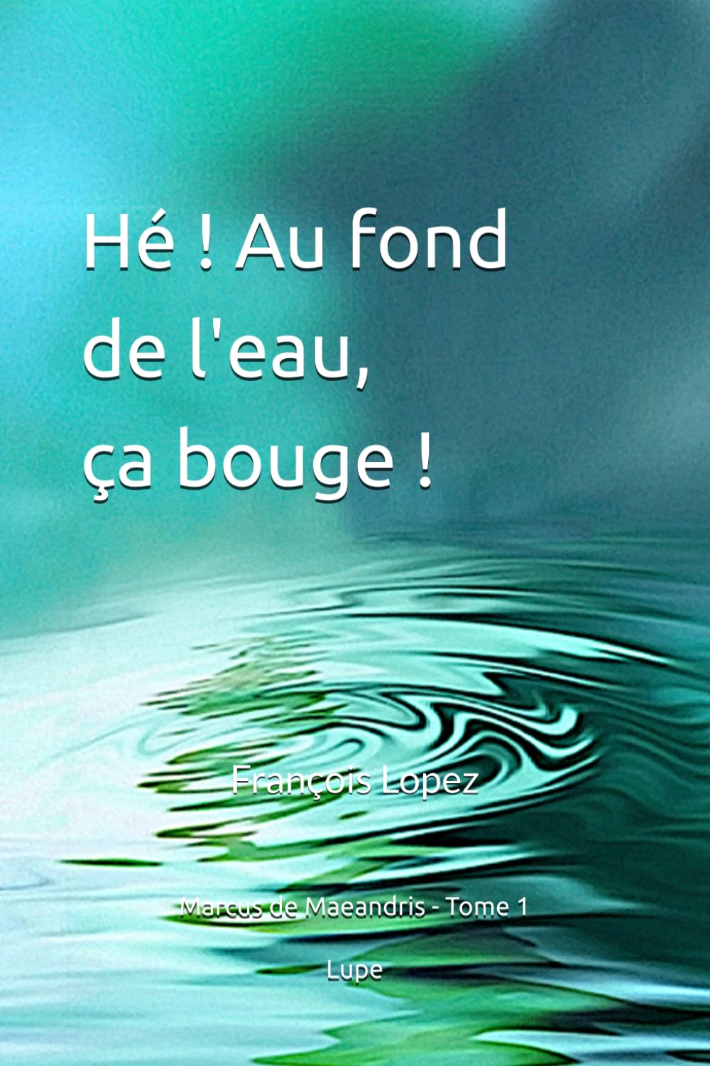 Hé! Au fond de l'eau, ça bouge!: 1 (Marcus de Maeandris)