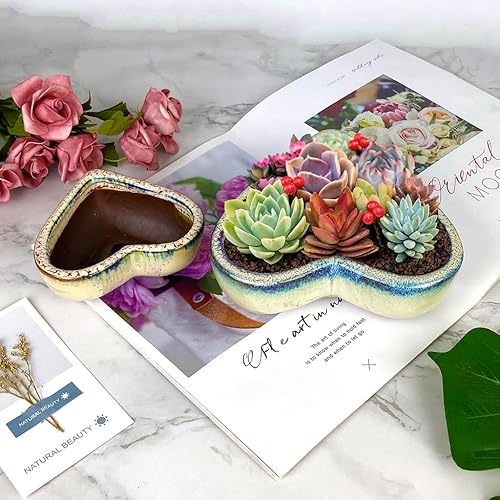 Miniatura 5 de Maceta de terracota esmaltada de 6.5 pulgadas y 4.5 pulgadas para suculentas, maceta grande con orificio de drenaje, maceta de cactus de cerámica