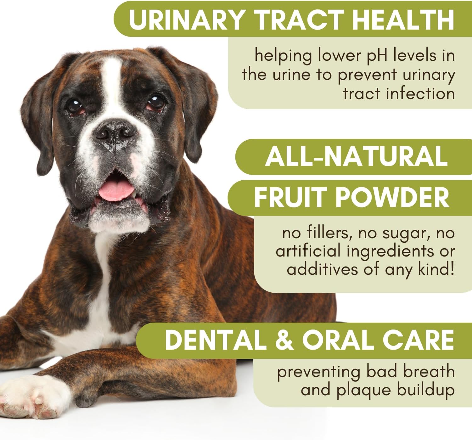 Wholistic Pet Organics Cranberry for Dogs and Cats - Organic Cranberry Supplement for Dogs Bladder Control, Kidney Support, and Urinary Incontinence - Healthy Urinary Tract for Dog & Cat - 60 Scoops