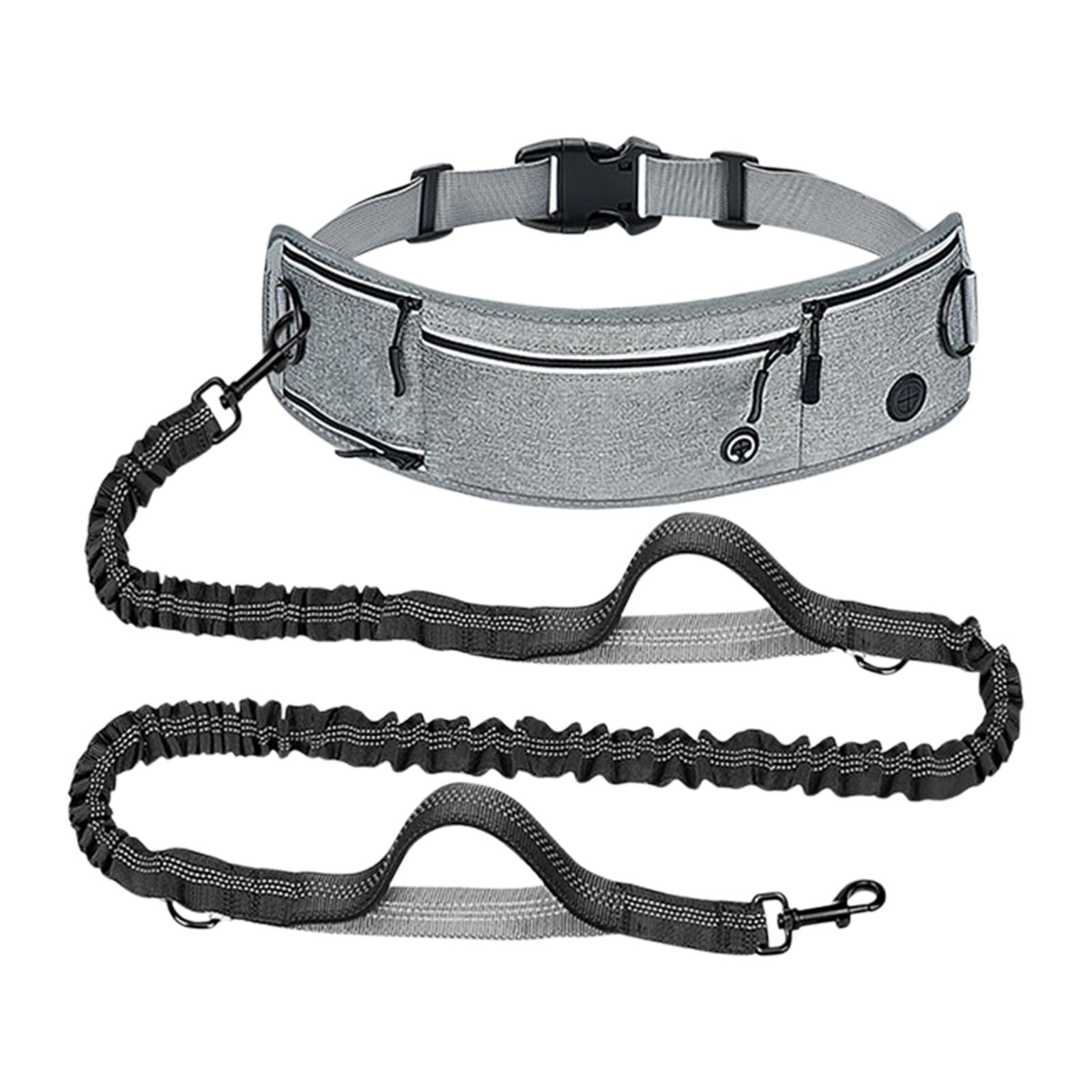 Laisse de chien pour la course à pied et jogging nocturne en toute sécurité avec ceinture