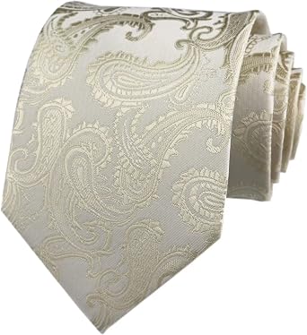 Elfeves Men Novelty Paisley Ties Cravat Jacquard Luxury Designer Wedding Formal Neckties