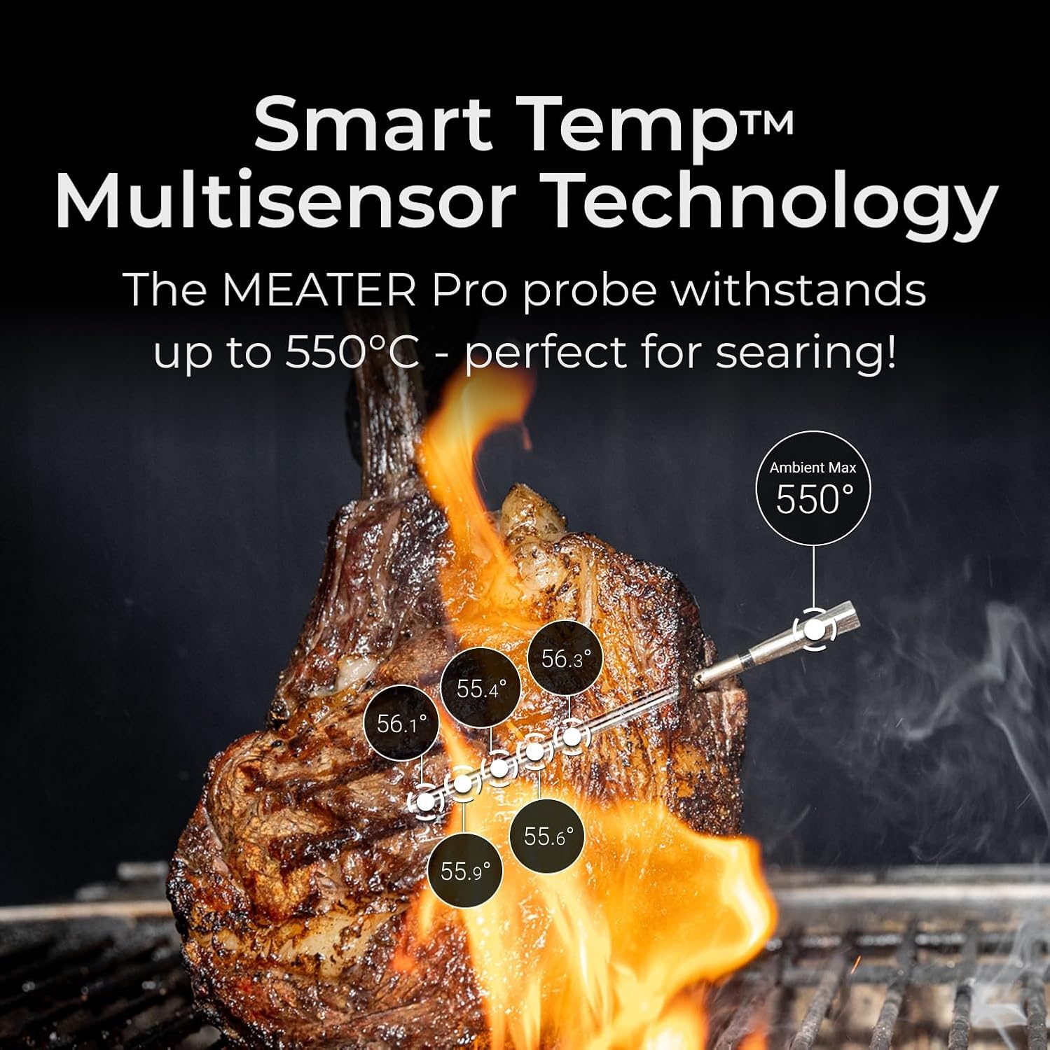 MEATER Pro Duo - MEATER image 3