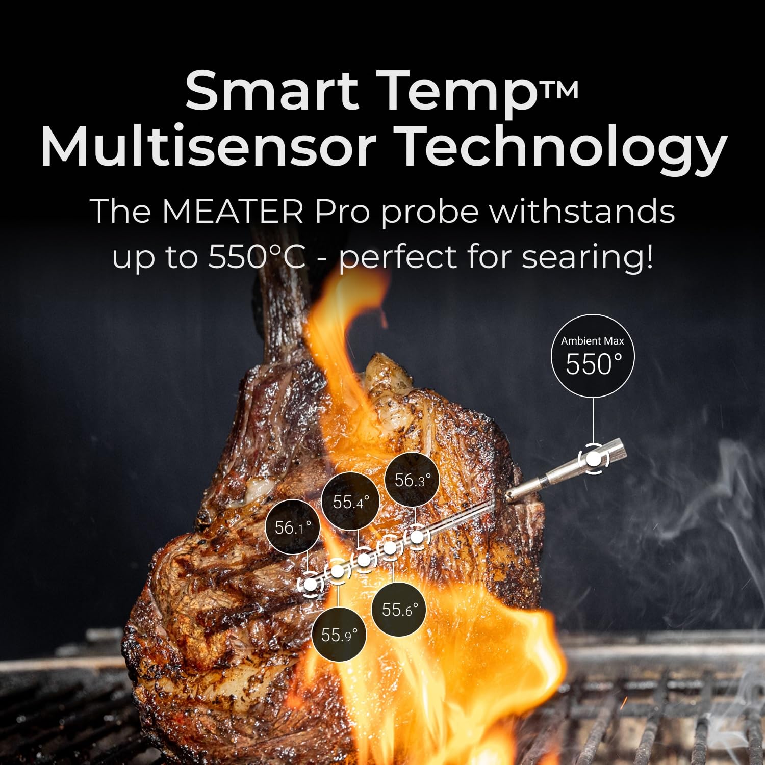 MEATER Pro Duo image 3