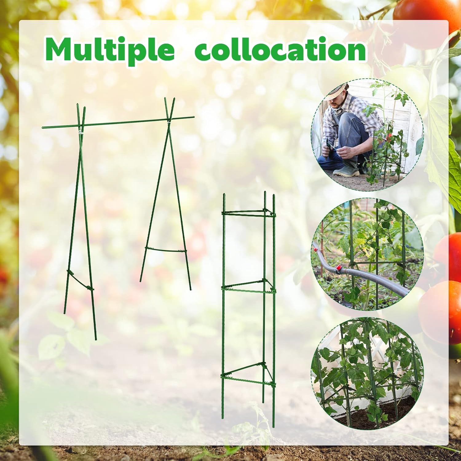 10 Packs Tomato Cages for Garden Support Up to 48" Tomato Plant Stakes Support with Adjustable Snap Arms Clips Plastic Coated Alloy for Outdoor Beans Potted Climbing Plant Supplies(Green)