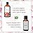 PHATOIL 3.38FL.OZ Peach Fragrance Oils for Aromatherapy, Essential Oils for Diffusers for Home, Perfect for Diffuser, Yoga, Skin Care, DIY Candle and Soap Making - 100ml