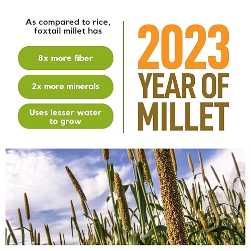 Miniatura 6 de Incept 3 libras de grano de mijo, mijo de cola de zorro descascarada, grano integral, semillas de mijo veganas sin gluten, superalimento, alto en