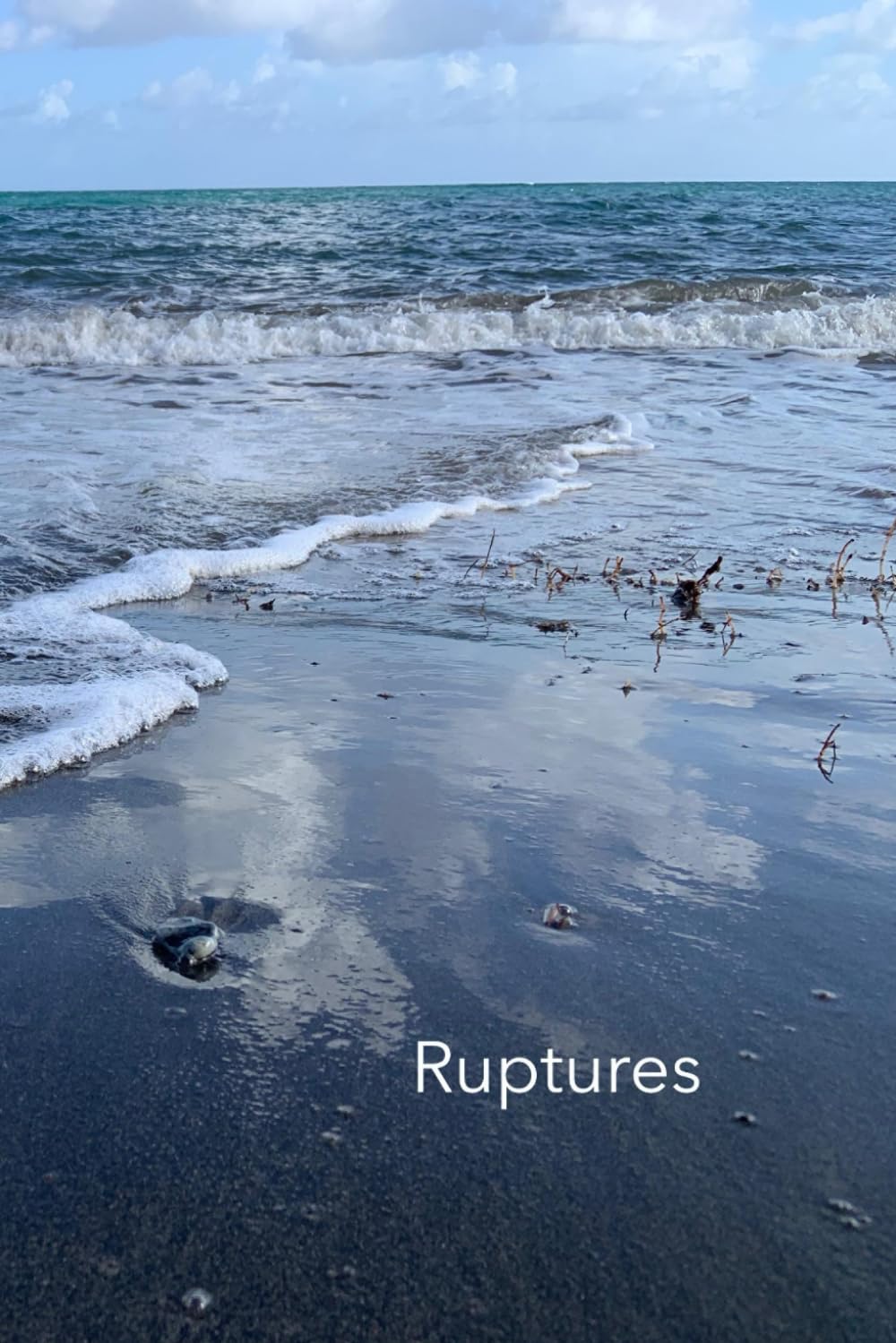 Ruptures: Selected Poems (1995-2025)