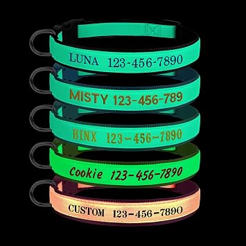 Personalized Dog Collars Glow in The Dark, Custom Embroidered Name & Phone Number Tags, Adjustable Luminous Collar for Small & Large Dogs Fluorescent Glow