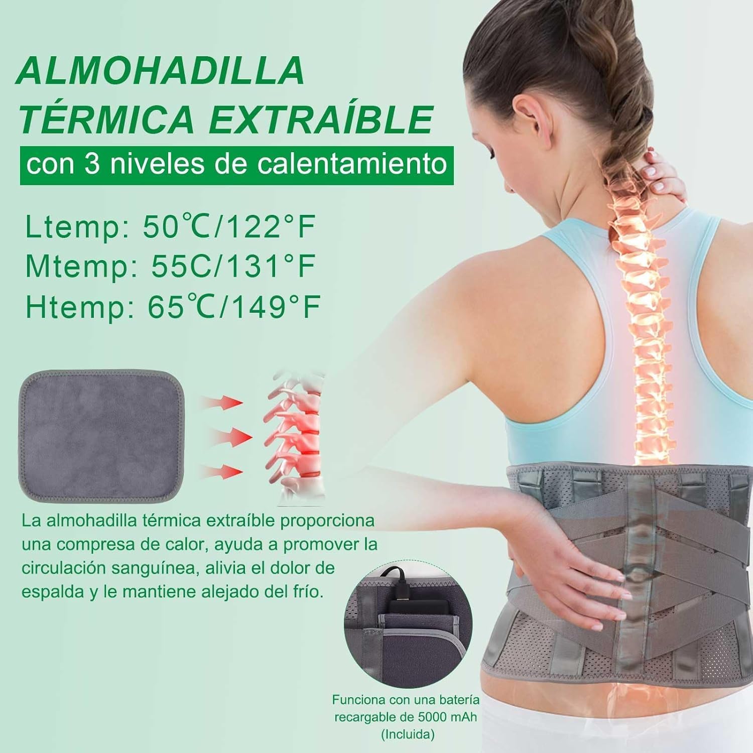HONGJING Faja de Soporte para la Espalda con Almohadilla Térmica - Cinturón de Compresión Calentado con 7 Varillas Metálicas, Ideal para Alivio del Dolor por Hernia de Disco y Escoliosis (L)