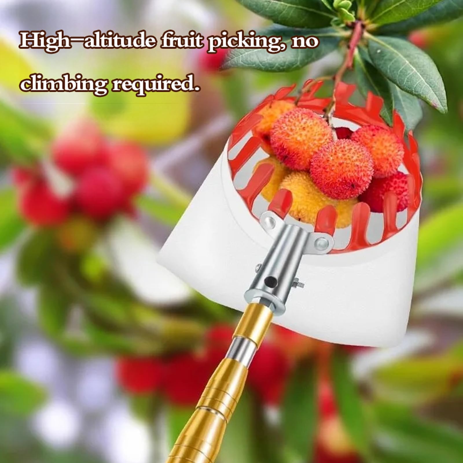 Raccogli Mele,Raccogli Frutta con Palo in Acciaio Inox Leggero,Raccogli Frutta Telescopico,Bastone Raccogli Frutta,Facile da Montare,per Raccogliere Fruttas da Luoghi Alti