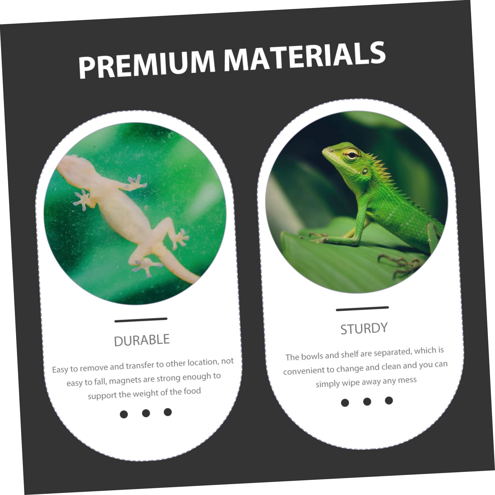 BESPORTBLE 4pezzi Ciotola per Rettili Mangiatoia per Lucertole e Insetti Accessorio per per Design Arrotondato