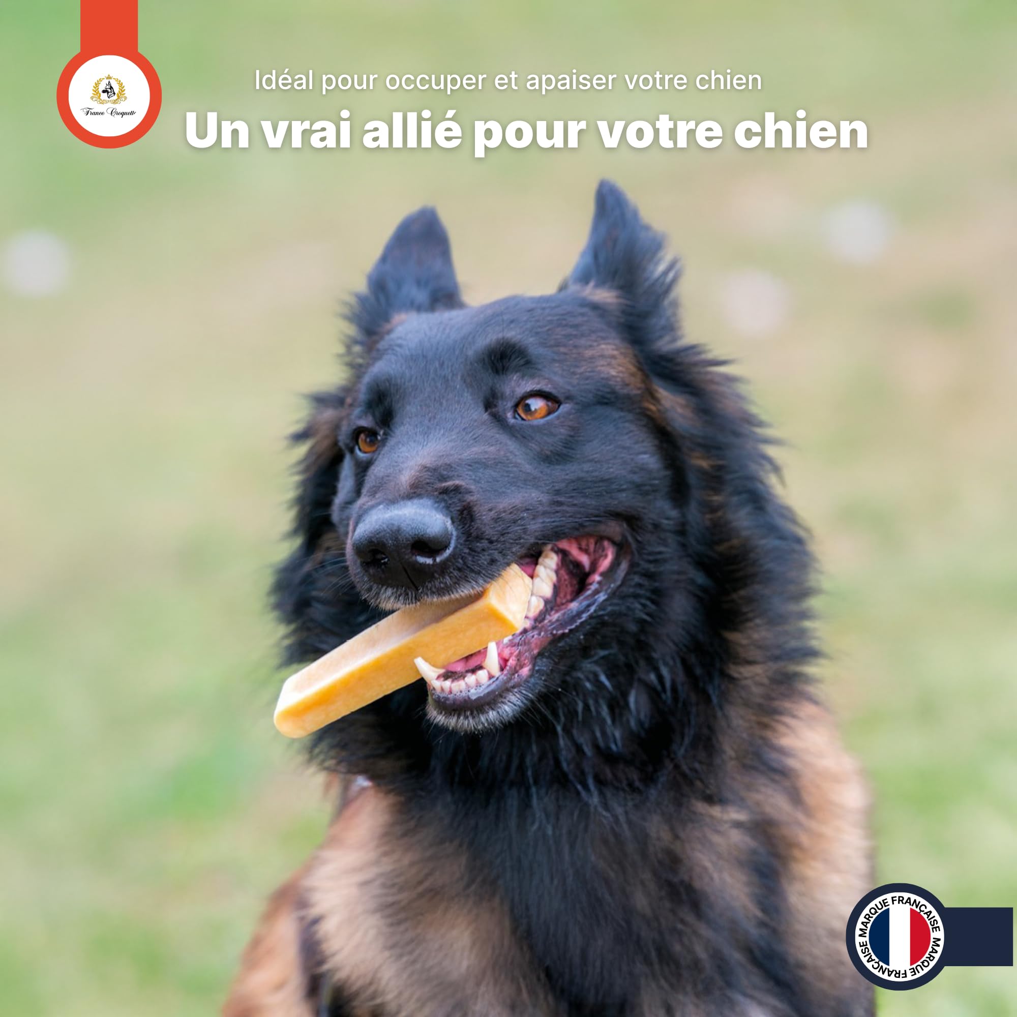 Fromage de Yak M 60g-90g pour Chien Moins de 20kg – friandise 100% Naturelle à mâcher – fabriqué au népal – Riche en protéines – hygiène bucco-Dentaire – Longue durée – france croquettes