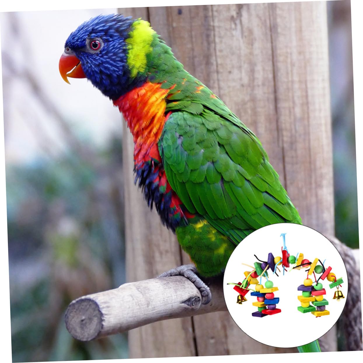 BESPORTBLE 3pezzi Giocattolo Per Pappagallo Legno Colorato Giocattolo Da Masticare Per Uccelli Accessorio Per Gioco Degli Uccelli Divertente e Resistente Per Pappagalli