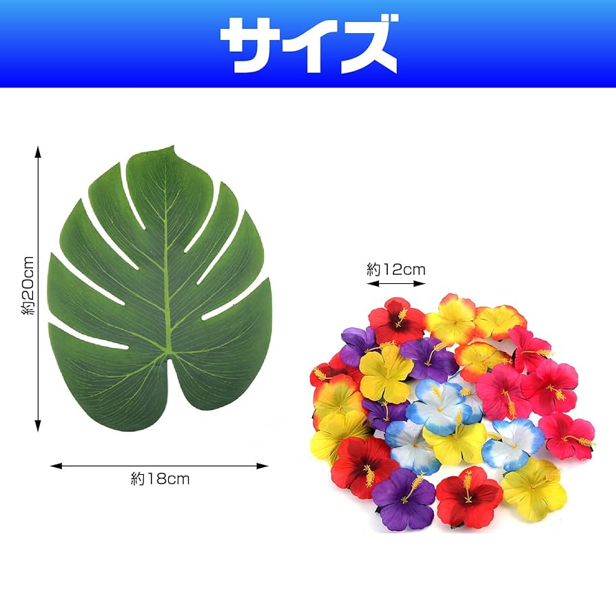 真っ白なハイビスカス＆モンステラ 真っ白なハイビスカス＆モンステラ
