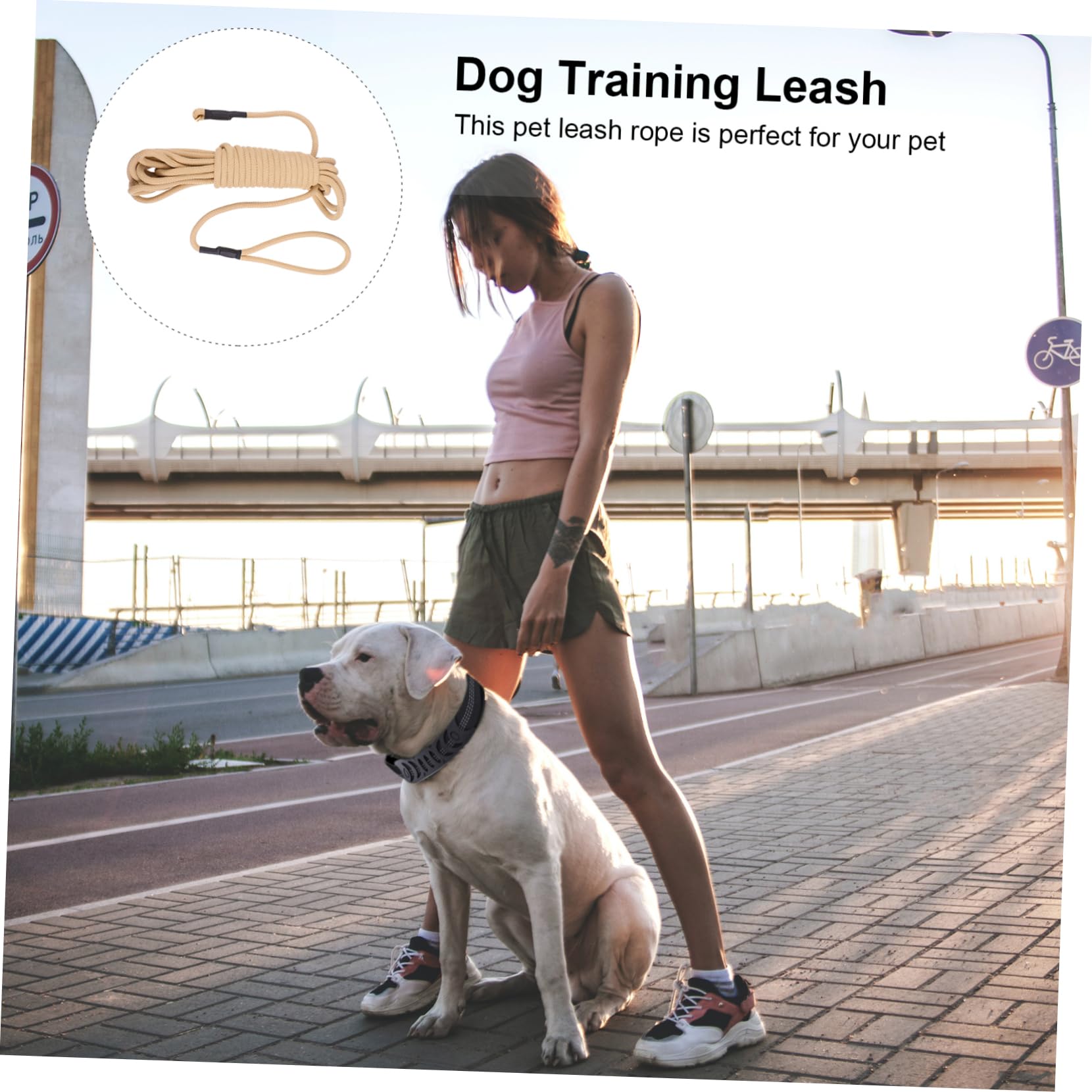 Guinzaglio lungo Cani da Addestramento 10 Metri Khaki