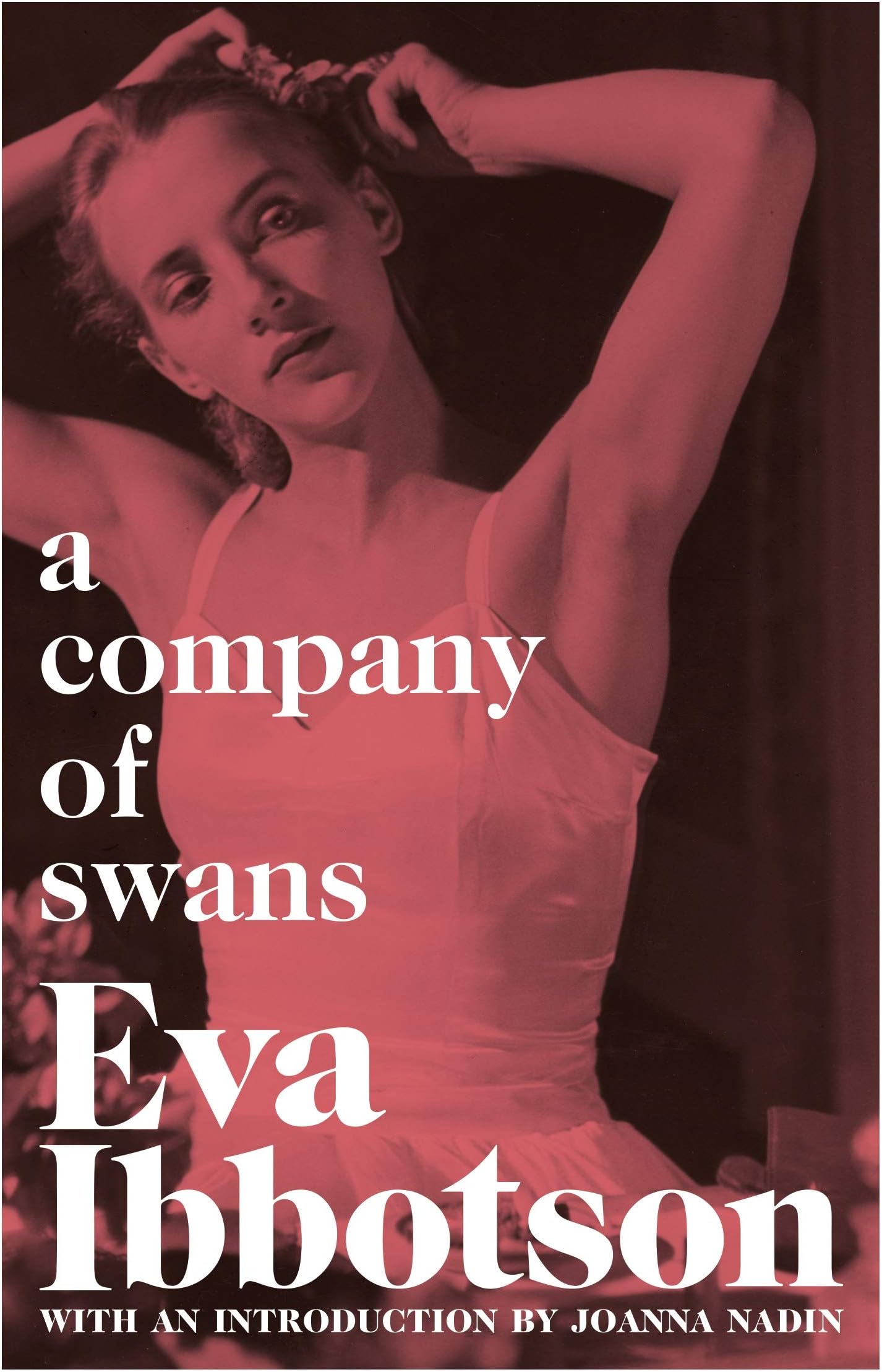 Company Of Swans