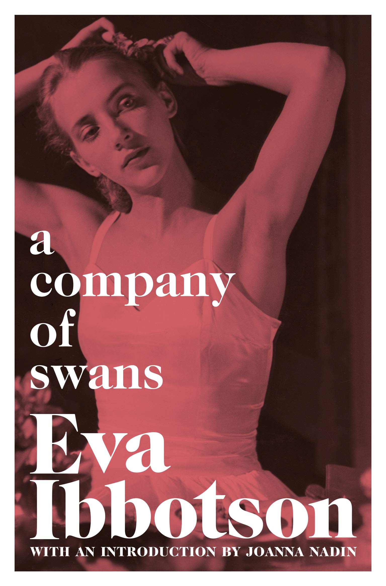 Company Of Swans