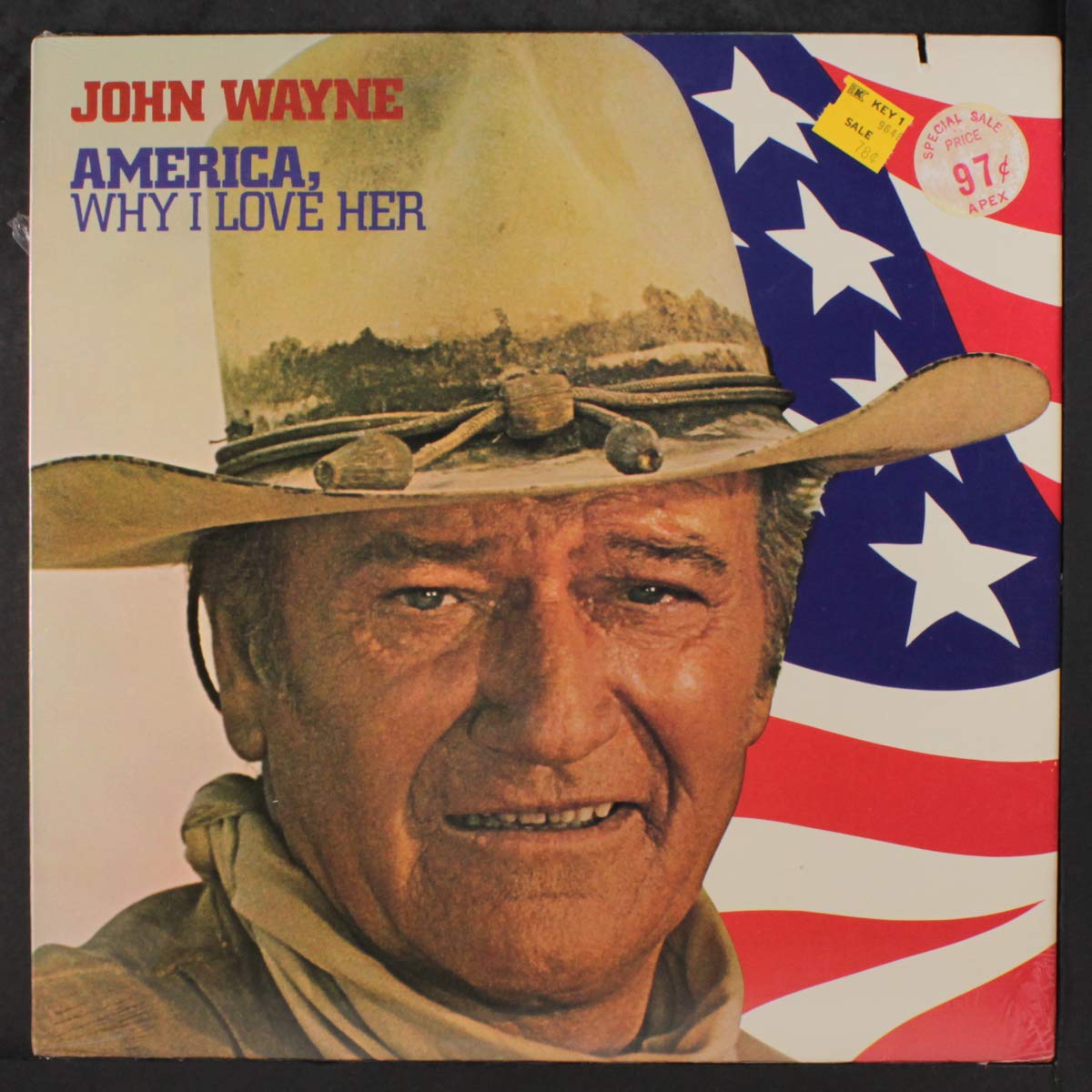 america, why i love her LP