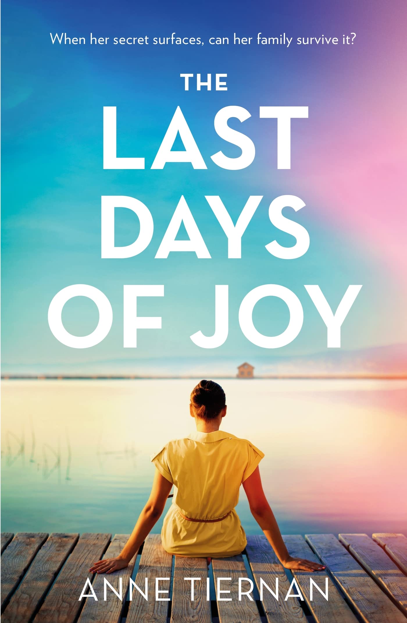 Anne Tiernan - The Last Days of Joy - Fiction Novel