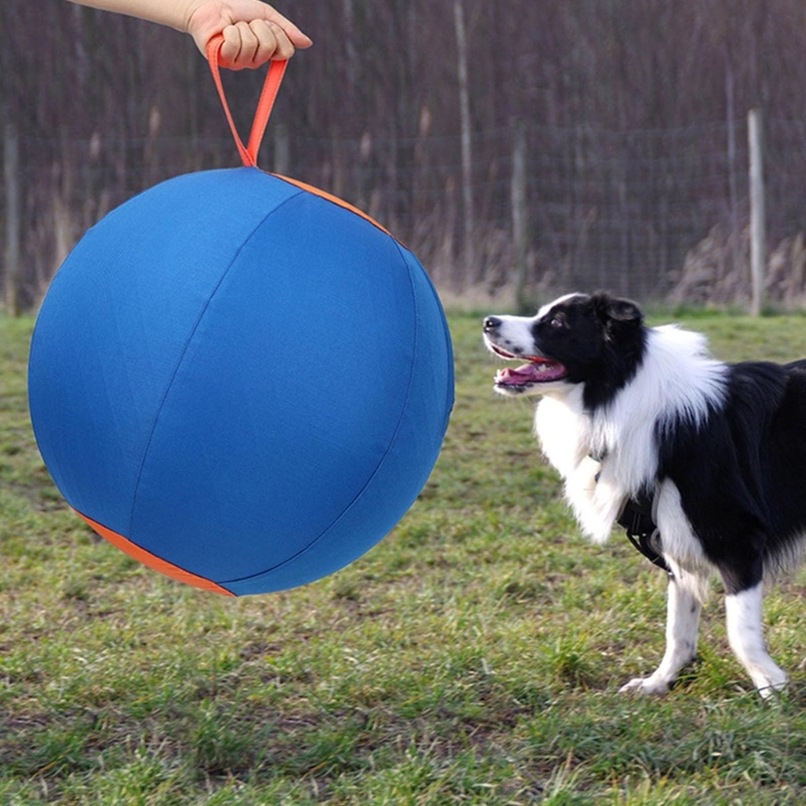Giocattolo interattivo sicuro per cani per famiglie Divertente attività mordace Addestramento all ' obbedienza Giocattolo gonfiabile per cani con cerniere per l ' addestramento Gioco ventilazione